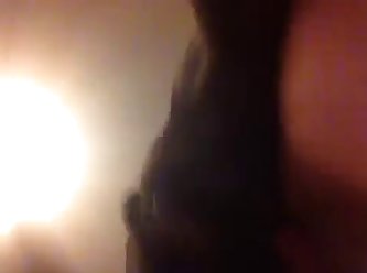 Being Fuck By A Dog