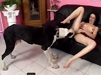 Goat Fuck Dog
