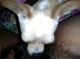 Tekla Dog Fuck