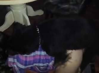 Men Fuck Dog Together