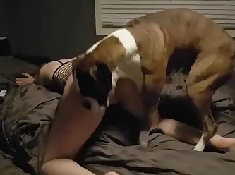 Husband Let Dog Fuck His Wife