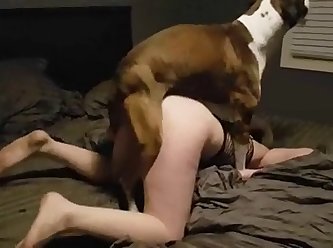 Husband Let Dog Fuck His Wife