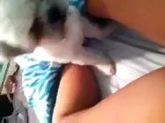 Zoophilia Dog Fuck Girl