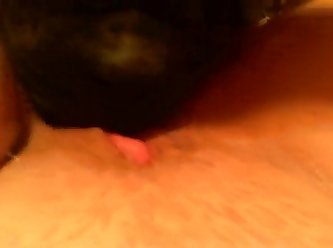 Strapon Fuck Dog