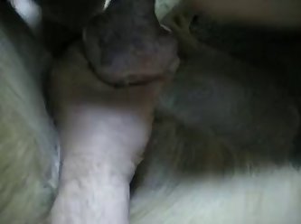 Dog Fuck Teen Orgasm