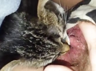 Dog Fuck Girl Femefun