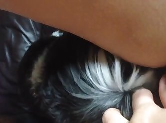 Femboy Fuck By Dog