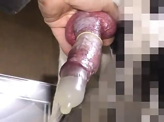 Girl First Time Fuck With Dog