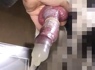 Girl First Time Fuck With Dog