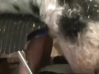Narissa Fuck Dog