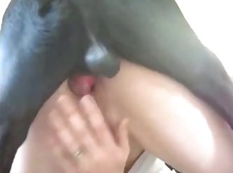 Twitter Dog Fuck Woman