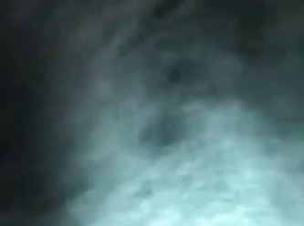 Frisky Fuck Dog