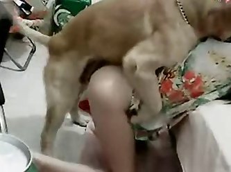 Man Fuck Dog Homemade