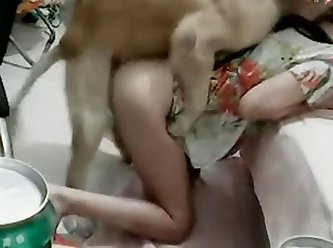 Man Fuck Dog Homemade