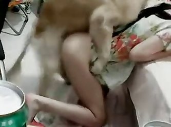Man Fuck Dog Homemade