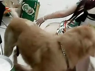 Man Fuck Dog Homemade