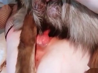 Man And Dog Fuck Pony