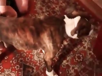 Knottybird666 Dog Fuck