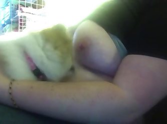 Man Face Fuck Dog Porn