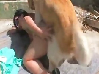 I Fuck My Dog Hard