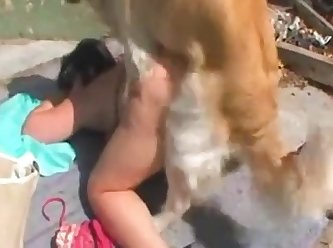 I Fuck My Dog Hard