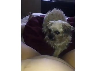 Tied Up Girl Forced Dog Fuck