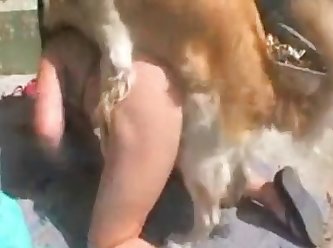 I Fuck My Dog Hard
