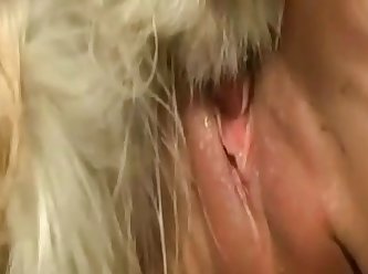 Web Cam Dog Fuck