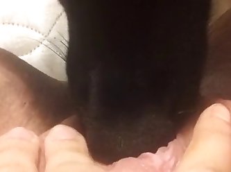 Dog Fuck Hen