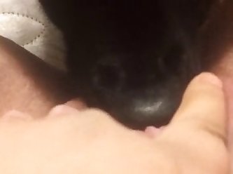 Dog Fuck Hen