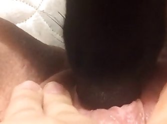 Dog Fuck Hen