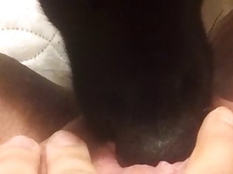 Dog Fuck Hen