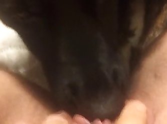 Dog Fuck Hen