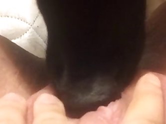 Dog Fuck Hen