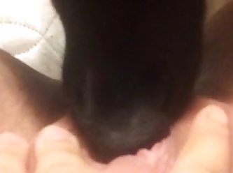 Dog Fuck Hen