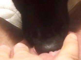 Dog Fuck Hen