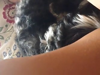 Teens Dog Fuck