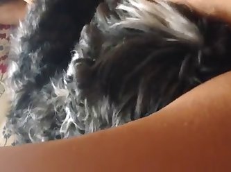 Teens Dog Fuck