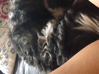 Teens Dog Fuck
