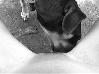 Dog Fuck Woman Nude