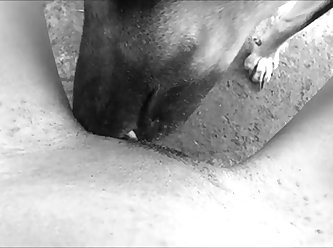 Dog Fuck Woman Nude