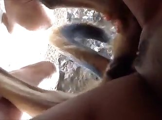 Tumblr Dog Fuck Girl