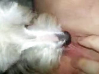 Webcam Girl Fuck Dog