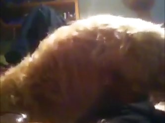 Dog Fuck Mia