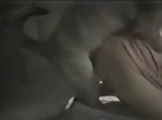 Man Fuck Small Dog Ass