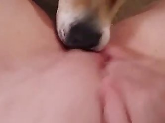 Man With Dog Find Passed Out Sleeping Girl On Grass And I Decided To Fuck Her