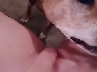 Man With Dog Find Passed Out Sleeping Girl On Grass And I Decided To Fuck Her