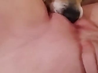 Man With Dog Find Passed Out Sleeping Girl On Grass And I Decided To Fuck Her