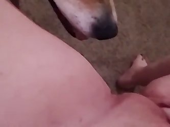 Man With Dog Find Passed Out Sleeping Girl On Grass And I Decided To Fuck Her