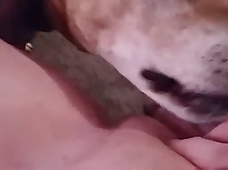 Man With Dog Find Passed Out Sleeping Girl On Grass And I Decided To Fuck Her